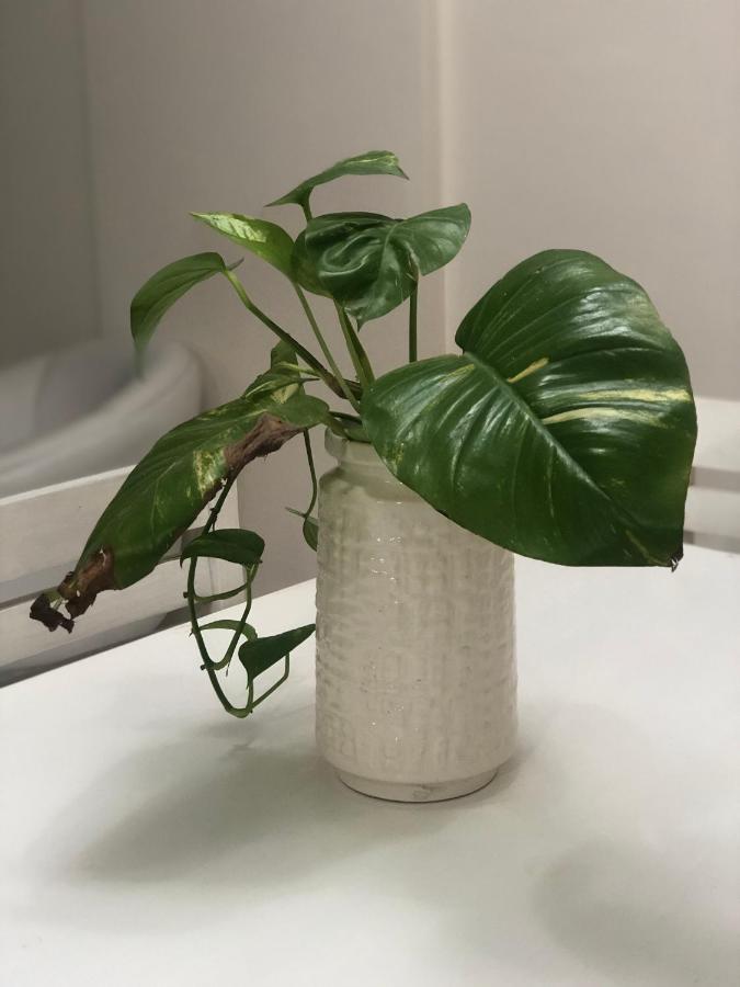 Apart Sur Departamento Санта Фе Екстериор снимка